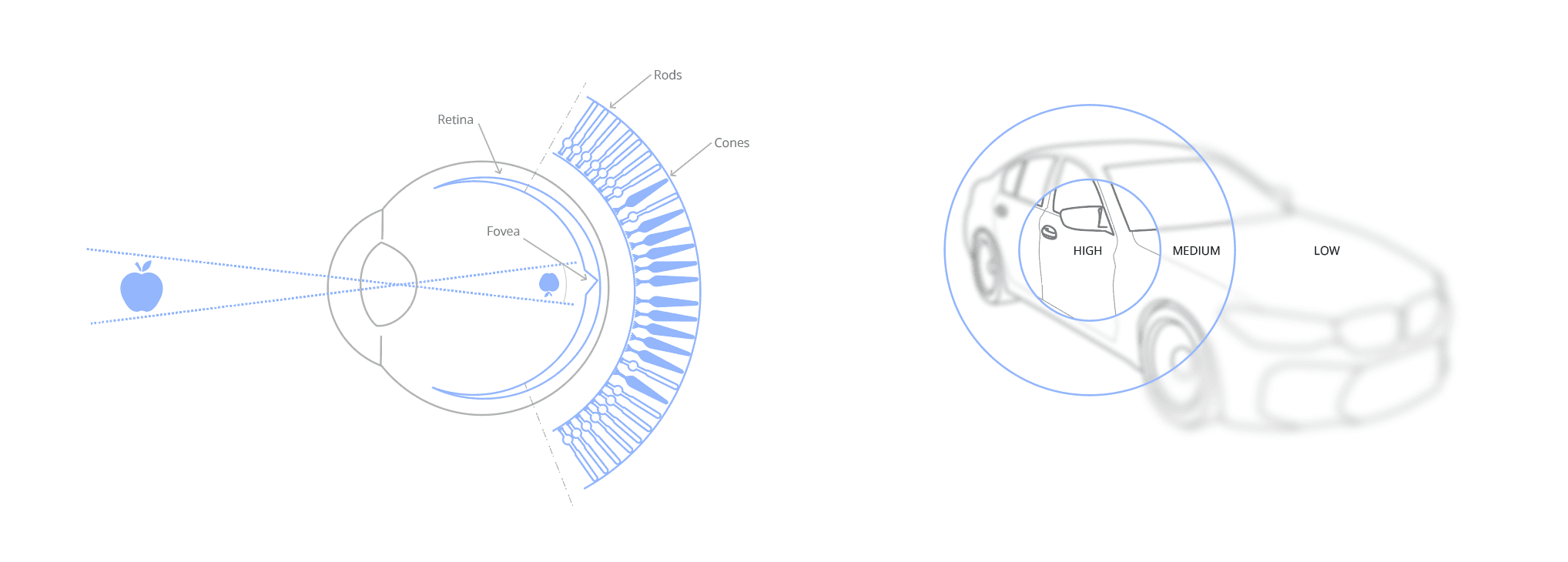 Illustration of inside the human eye and effect of dynamic foveated rendering on a car image